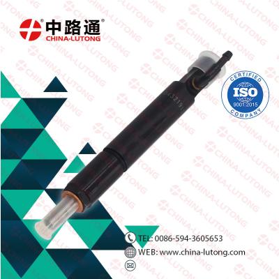 China fit for for delphi fuel injectors catalog 0 432 191 379  Fuel Injector 0432191379 for  Deutz Engine Injector for sale