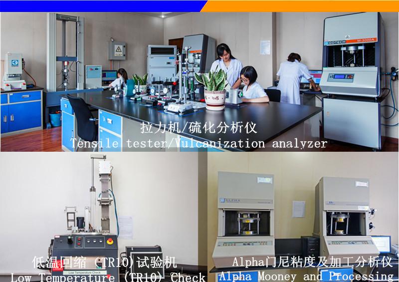 確認済みの中国サプライヤー - Chenguang Fluoro & Silicone Polymer Co.,Ltd