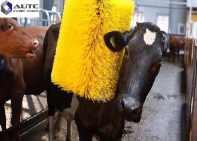 中国 農場のモーター黄色緑のブラシのマッサージャーを傷付けている自動振動牛 販売のため