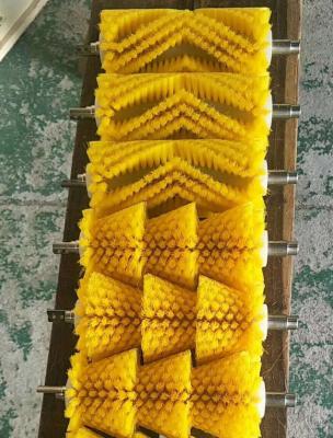 China Combined Scallop Cleaning Roller Brush for sale