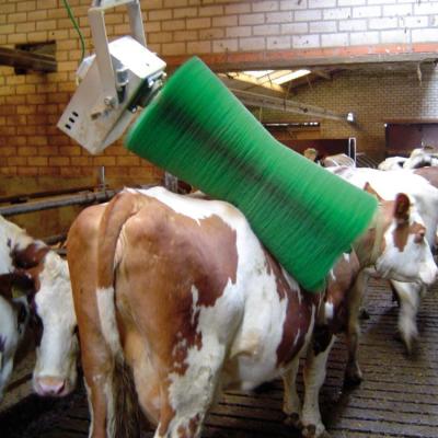 中国 酪農場装置モーターを搭載する牛マッサージのための自動牛ボディ ブラシ 販売のため