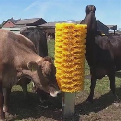 China Animal Body Cleaning Machine Cow Body Brush for sale