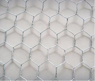 China Galvanized hexagonal wire netting/hexagonal wire mesh (chicken wire netting) for sale
