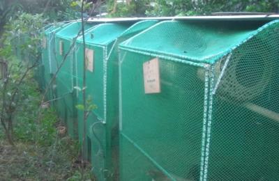 China Rede de proteção vegetal do PE/eficiência alta da produção da máquina rede de mosquito à venda