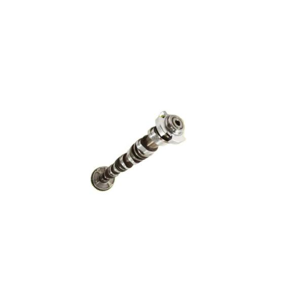 Quality Boigevis Steel Intake Camshaft 06J109021P VW AUDI SKODA Mercedes Benz Camshaft for sale