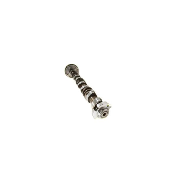 Quality Boigevis Steel Intake Camshaft 06J109021P VW AUDI SKODA Mercedes Benz Camshaft for sale