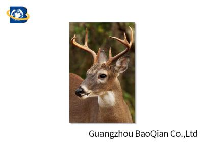China Animal Lenticular Greeting Cards , Deer 3D Greeting Cards For Christmas / New Year for sale