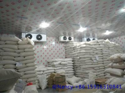 China seed cold storage for sale