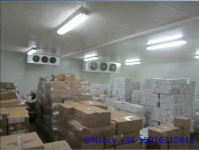 China fruit cold storage with Tecumseh compressor unit at competitive price for sale