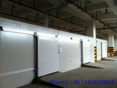 China Pre-fab cold room,with refrigeration and frozen funtion at the same time,easy installation,safety for sale
