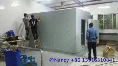 China low-temperature cold store，the temperature is between-22℃ and -25 ℃,keep the product from spoiling. for sale
