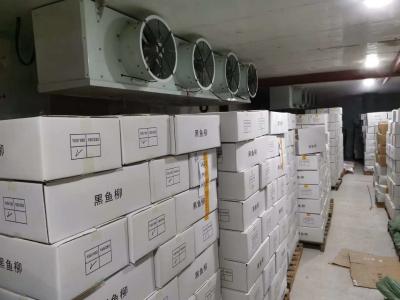 China Food Storage ,food refrigeration equipment,food drying equipment ,food processing room and storage for sale