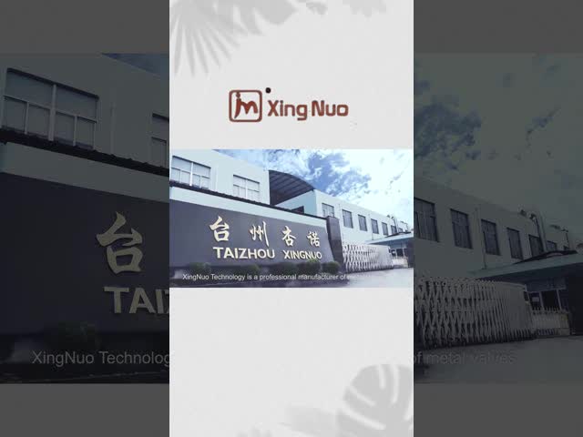 Xingnuo Technology profiles