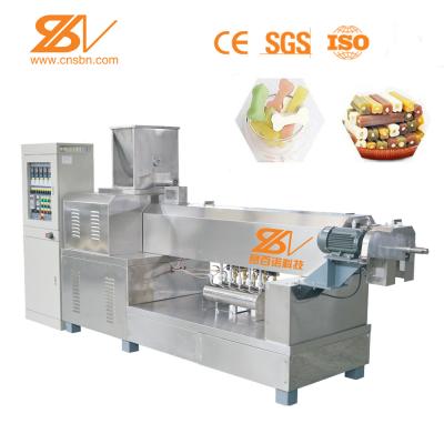 China Pet Chew Snack Pet Treat Machine Extruder Making Machine Food Production Line for sale