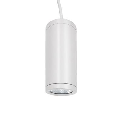Cina Luce cilindrica messa della pannocchia, plafoniera del cilindro di 15w 1200lm LED in vendita