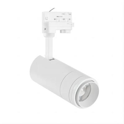 China ES Approval  Track Mounted Light , AC12V  20W Surface Mounted Led Spotlights for sale