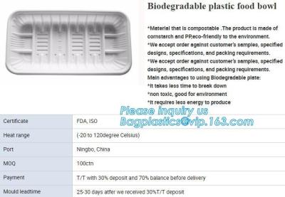 China bandeja de empaquetado de la ampolla, bandeja plástica rectangular de la comida, bandeja del cemento del PLA de la maicena en venta