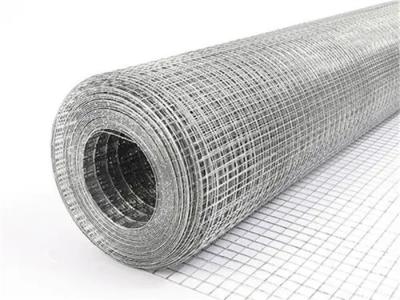 China Q195 Welded Agriculture Filtration Ss Wire Mesh for sale