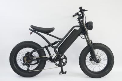 China 20 inch FAT Tires E-BIKE for sale