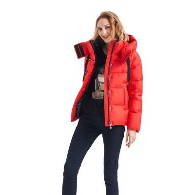 China FODARLLOY 2022 High Quality Warm Hooded Lady Thin Cotton-padded Jacket Women Coat Lightweight Luxury Down Foldable Jacket for sale