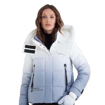 China FODARLLOY New Arrival Women Winter Warm short Coats Thick Cotton-Padded Jackets Printed Woman Collar Puffer Bubble Coat jackets for sale