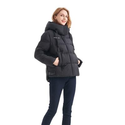 China FODARLLOY Autumn and Winter 2022 New Fashion Jacket  Small Cotton Padded Jacket Large Hooded Jacket Warm Cotton for sale