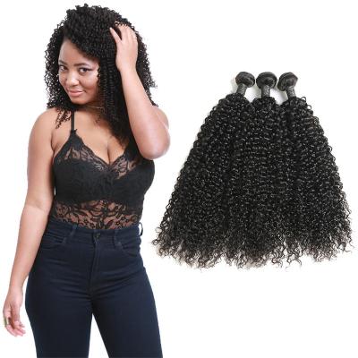 China Natural Black Virgin Curly Hair Bundles / Curly Weave Human Hair 3 Bundles for sale