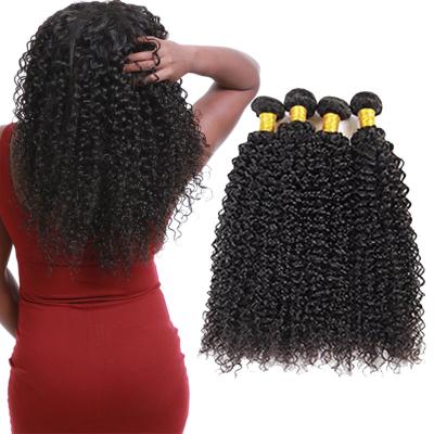 China 8A Healthy Virgin Curly Hair Bundles , Kinky Curly Human Hair Extensions for sale