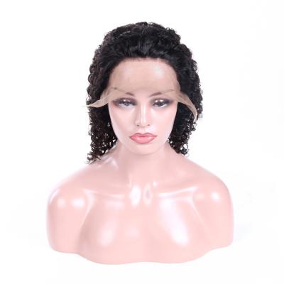 China Healthy African American Full Lace Human Hair Wigs Deep Curly No Shedding for sale