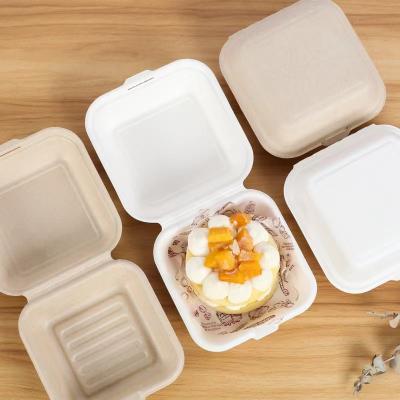 China Cake Food Container Paper Box Compartment Clamshell Sugarcane Lunch Box for sale