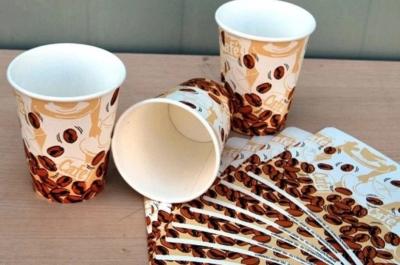 China Hoja de la fan de la taza de papel de la categoría alimenticia con 135-450GSM para las bebidas calientes o frías en venta