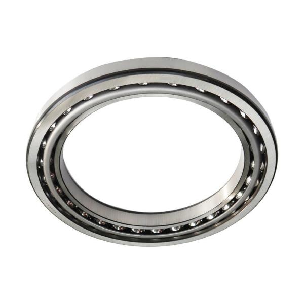 Quality SF4831 Excavator Hydraulic Pump Parts SF4831PX1 Angular Contact Ball Bearing for sale