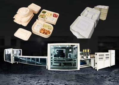 China Semi Automatic Fast Food Box Machine Take Away Container 55kw for sale