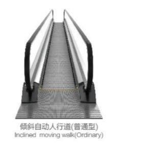 China SUPERMARKET GYG ELEVATOR , INCLINED MOVING WALKWAY for sale