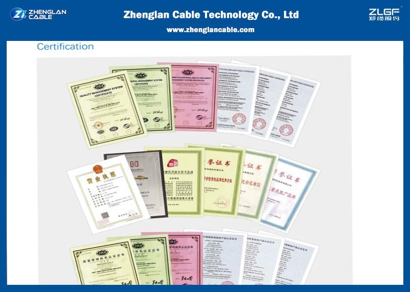 ISO 9001：2015 - Zhenglan Cable Technology Co., Ltd