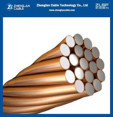 China Customized Size Copper Weld Ccs Wire Earth Ground Wire Clad Steel Grade AAA 4.0mm Copper Clad Steel Wire CCS Wire en venta