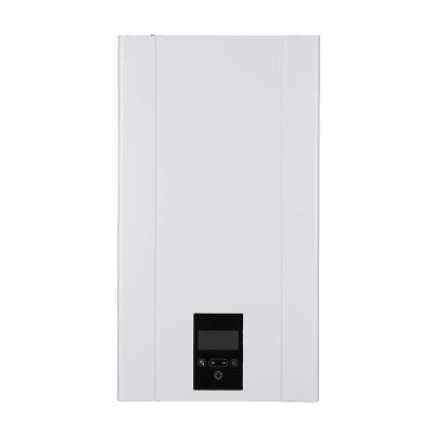China Programmable Controls Wall Hung Gas Boiler Installation Type For Home Heating Solutions for sale