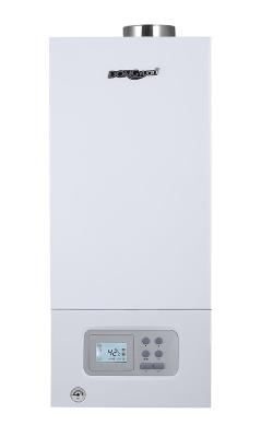 China Wall Mounted Home Gas Boiler High Reliability Multiple Automatic Protections for sale