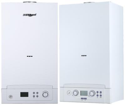 China Easy Operation Wall Mounted Hot Water Boiler , Gas Boiler For Hot Water Only for sale