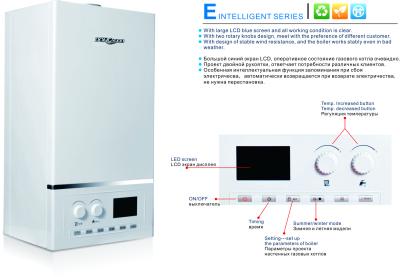 China Intelligent Program Wall Hung Gas Boiler Protect Family Safety Micro - Computer Control for sale