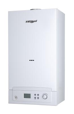 China 20000W 50HZ SS Wall Hung Gas Boiler With Knob Control for sale