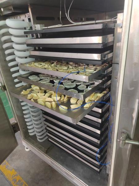 Quality Commercial Active Vegetable Freeze Dryer PLC Control System for sale