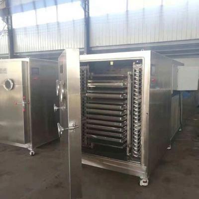 China Vacuum Lyophilizer Industrial Freeze Dryer Machine for sale