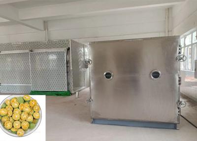 China 100Kg Food Vegetable Freeze Dryer Bitzer Refrigeration Unit Active for sale
