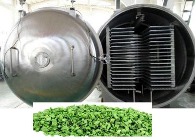 China Máquina de deshidratación por congelación al vacío de alto rendimiento 100 kg/partido en venta