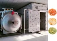 Quality Stainless Steel Vacuum Freeze Drying Machine 200 KG/Batch for sale
