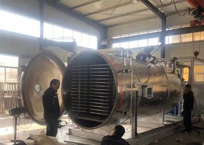 China Automatic Industrial Freeze Drying Equipment 300 Kg/Batch for sale