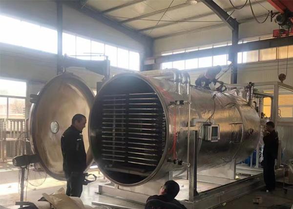 Quality Automatic Industrial Freeze Drying Equipment 300 Kg/Batch for sale