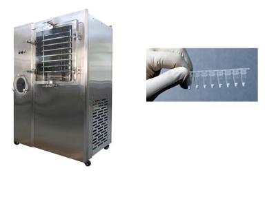 China Vacuum Stayfresh Freeze Dryer 6kg/Batch Capacity Automatic for sale