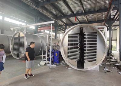 China Medium Industrial Vacuum Freeze Drying Machine Food Vegetable for sale